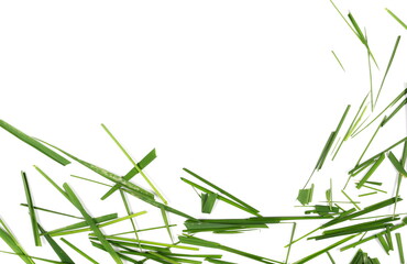 Frame green cut wild green grass isolated on white background and texture, top view