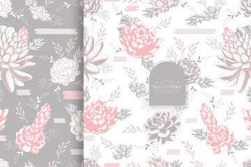 beautiful succulent pattern design collection