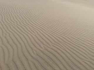 White Sand Dunes On Patara Beach