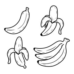 Set of banana vector illustrations in hand-drawn style isolated on white background. Banana doodle