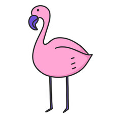 illustration of a pink flamingo on png background