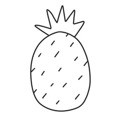 illustration of pineapple on png background