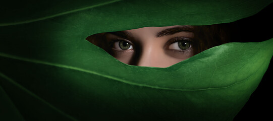 Green eyes of beautiful young woman with natural makeup hidden behind a natural green leaf - Spa...