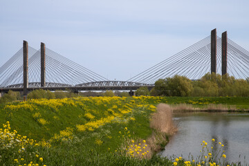 Martinus Nijhoff Bridge over the river Waal near Zaltbommel in the Netherlands.