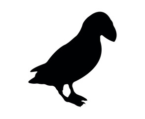 Vector flat puffin silhouette isolated on white background