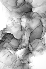 Marble ink abstract art from exquisite original painting for abstract background . Painting was painted on high quality paper texture to create smooth marble background pattern of ombre alcohol ink . © InfiniteFlow