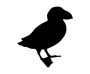 Vector flat puffin silhouette isolated on white background