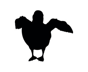 Vector flat puffin silhouette isolated on white background