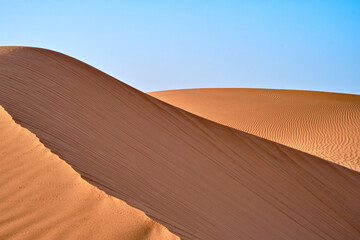 A view of the dunes in the Sahara desert, Morocco, on a clear blue sky day. Landscape shot. 