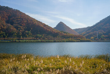 A calm river with a blue sky in the wild reed fields of the autumn day.