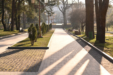 alley in the city park