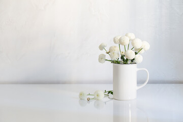 white chrysanthemums in vintage cup on white background