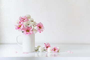 white and pink  chrysanthemums in vintage cup on white background