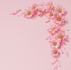 pink flowers on pink background