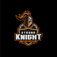 Knight Shield Logo Vector