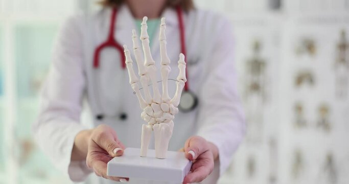 Female doctor with stethoscope holds skeleton of hand. Professional in field of medicine presents skeleton of arm part to students closer slow motion