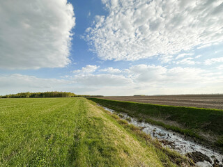 Reclamation of Degraded Lands. Dry reclamation canal in the field. Agricultural landscape. Drainage...