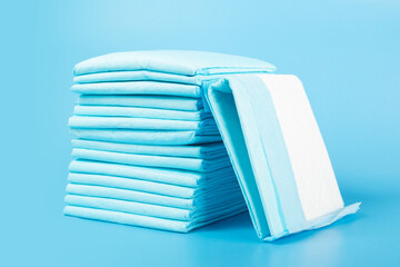 dog diaper, pet absorbent napkin on blue background © yta