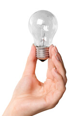 Closeup of Hand Holding a Light Bulb
