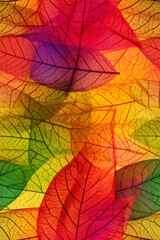 Macro colorful leaves. generative ai.