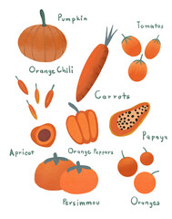 set of orange vegetables
