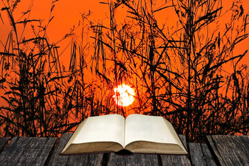 Open book at deck with morning sky and plant silhouette background