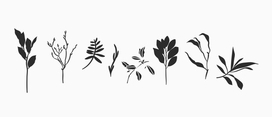 Hand drawn vector abstract graphic illustrations silhouette collection set with bohemian magic black art of natural flowers and plants,leaves,wreath,herb,botanical floral garden plants silhouette.
