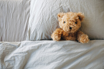 Lonely Teddy Bear lying on the bed