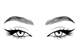 Vector Hand drawn beautiful female eyes with long black eyelashes and brows close up. - 597728631