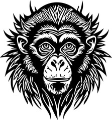Fototapeta premium Vector illustration of a monkey face in black and white, chimpanzee drawing 