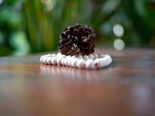 Dried pine cones, Pinus merkusii seeds, and white prayer beads shallow focus