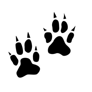 Animal paw, dog tracks. Traces of dog paws, dog paws. A cat's footprint, a tiger's or a lion's footprint.Black animal paw print isolated on white background. Vector illustration.