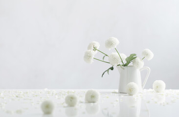 white chrysanthemums in jug on white background