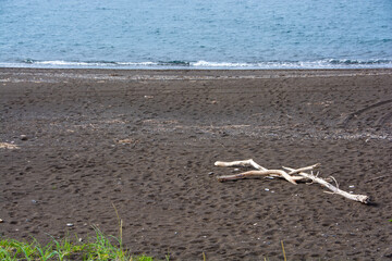 波打ち際と砂浜の流木　オホーツク海
