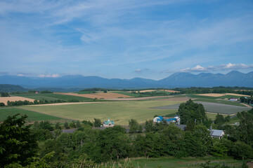 夏の緑の畑作地帯と山並み　十勝岳連峰
