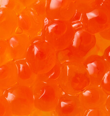 Red salmon caviar as a background. Macro.