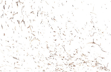 Fine hair from a haircut isolated on a white background.