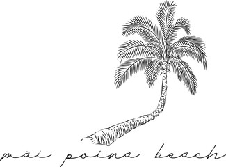 A hand drawn vector illustration of a curved palm tree on the Mai Poina Beach Maui Hawaii - 597739627