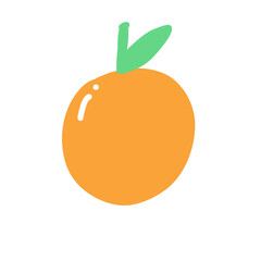 orange fruit illustration
