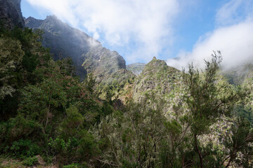Portugal - Madeira - Levada do Pico Ruivo