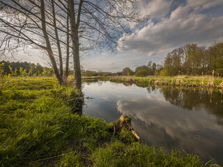 Spring on the small wild river Grabia in central Poland.