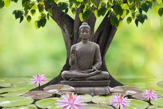 Buddha statue sitting under the bodhi tree on nature background.