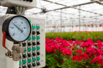 Irrigation system equipment in a flower greenhouse