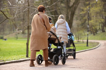 A group of women are walking in a park with children sitting in baby carriages. Rest in a public place. Recreational design. Education of children's activity in the fresh air. The health of the younge