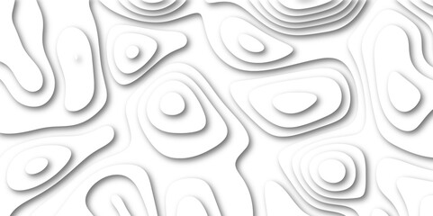 Abstract wavy line 3d paper cut white background. White paper cut white background. Abstract realistic papercut decoration textured with wavy layers and shadow.  Abstract realistic papercut decoration