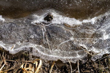 Spring ground covered with thawing snow