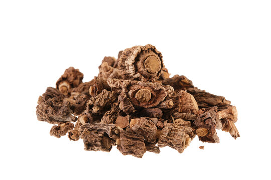 Pile of anantamul root (Hemidesmus indicus), also called Indian Sarsaparilla, isolated on white background