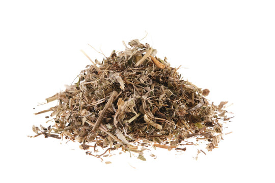 Pile of dried labdanum (Cistus), isolated on white background