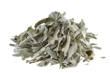 Pile of dried white sage leaves (Salvia apiana), isolated on white background