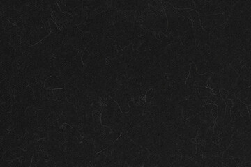 Animal white wool on black clothes background texture. close up of cat hair on clothes - obrazy, fototapety, plakaty